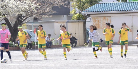 Futsal